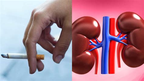 How Does Smoking Affect Your Kidneys