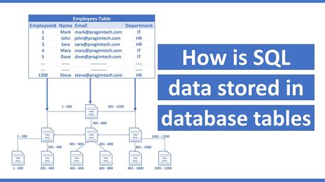how does sql store data