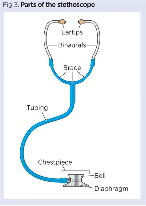 How Does Stethoscope Work Explain With Diagram