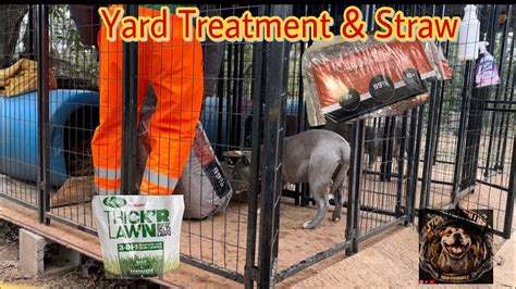 How Does Straw Keep Dogs Warm