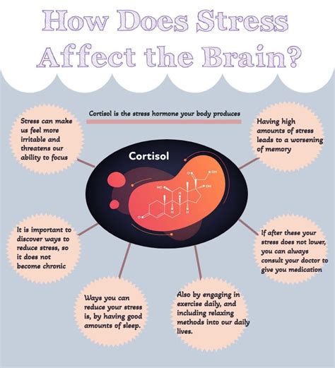 how does stress affect brain function