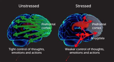 how does stress affect the brain's function to perceive and handle problems