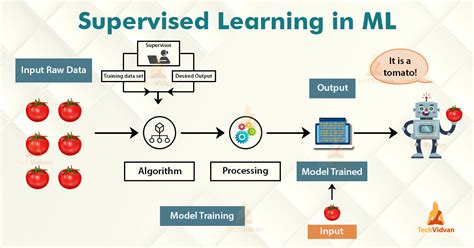 how does supervised machine learning work in the context of prediction