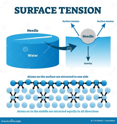 How Does Surface Tension Break