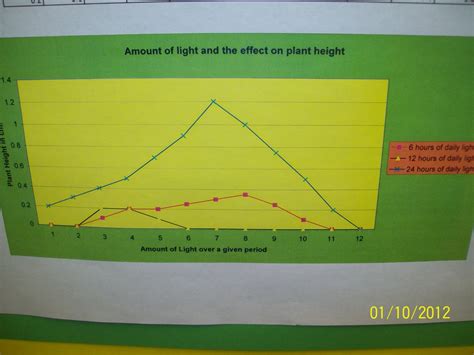 How Does The Amount Of Light Affect The Growth Of A Plant Constant/Control Variables