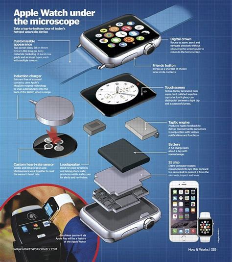 How Does The Apple Watch Work