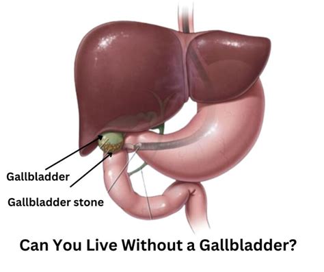 how does the body function without a gallbladder