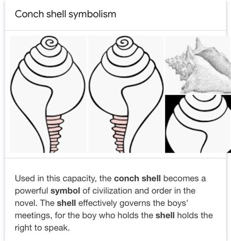 How Does The Conch Symbolize Order