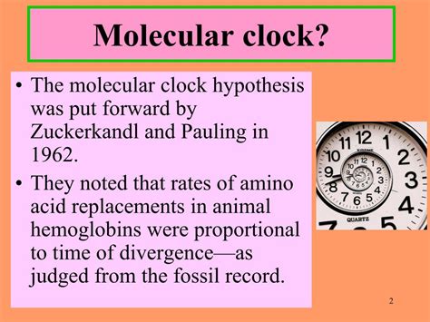 How Does The Molecular Clock Work