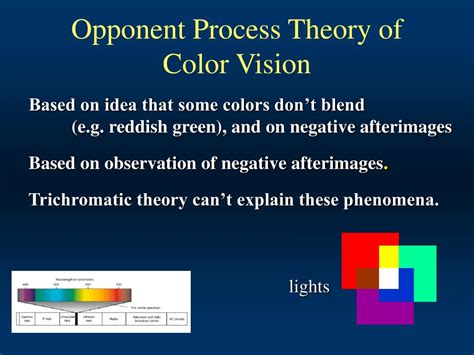 how does the opponent process theory explain color blindness