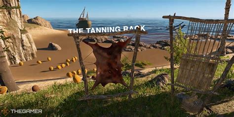 How Does The Tanning Rack Work In Stranded Deep