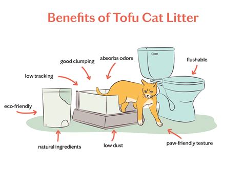 How Does Tofu Cat Litter Work