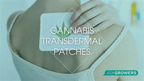 How Does Transdermal Patches Work