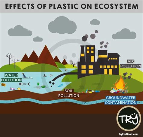 How Does Trash Affect The Ecosystem