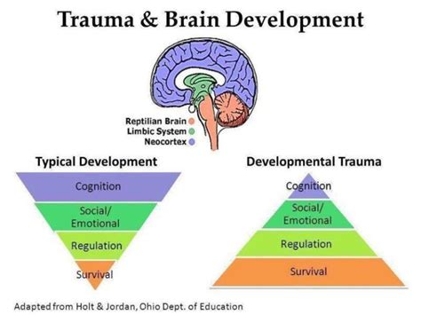 how does trauma affect a child's cognitive development