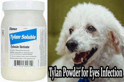 how does tylan powder work