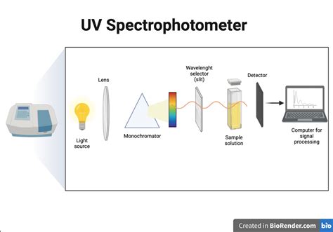 How Does Ultraviolet Spectrometry Test Work