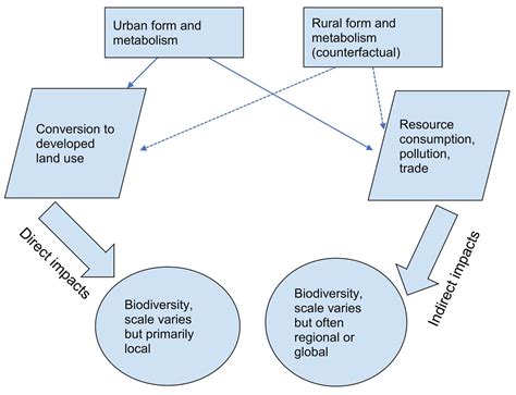 how does urbanization affect biodiversity