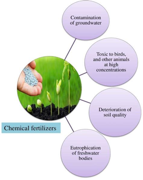 How Does Using Fertilizers Affect The Environment