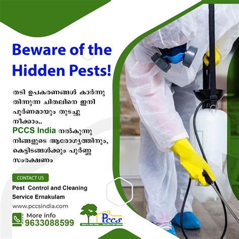 How Does Value Village Prevent Bed Bugs