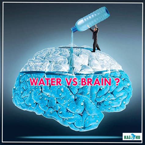 How Water Affects Your Brain: A Simple Guide