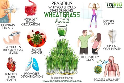 How Does Wheatgrass Juice Help