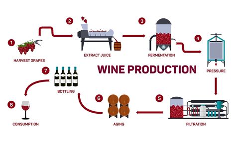 How Does Wine Making Work