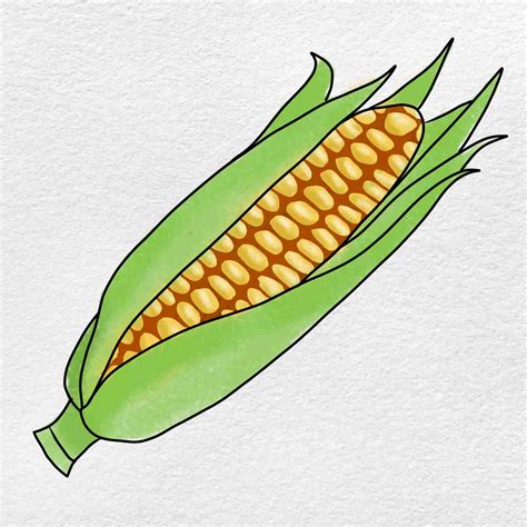 How Draw A Corn