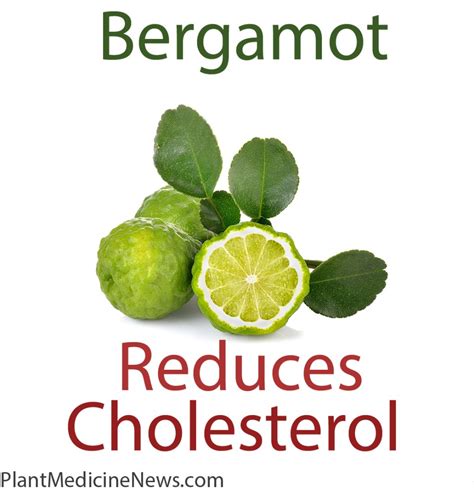 how effective is bergamot for cholesterol