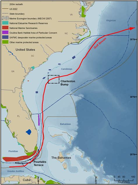 how far off florida is the gulf stream
