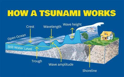 Geography Tsunamis Level 1 activity for kids