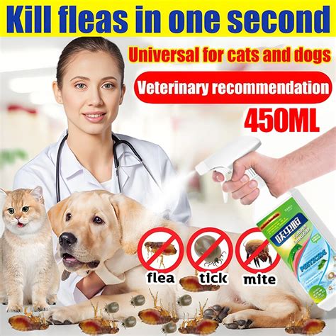 How Fast Does Flea Medicine Kill Fleas