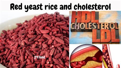 How Fast Does Red Rice Yeast Work