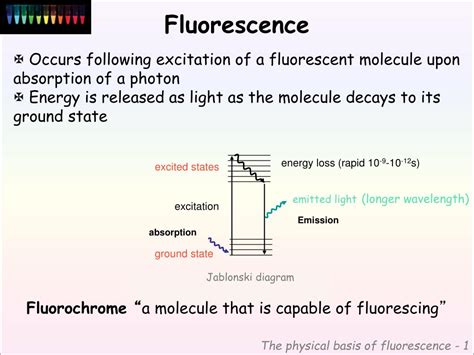 How Fluorescence Works