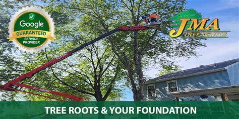 how foundation tree service