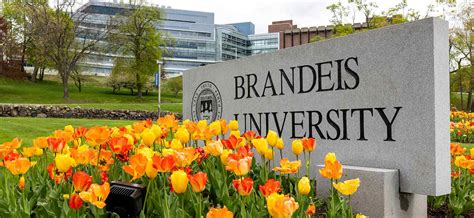 how good is brandeis university