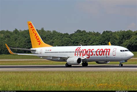 how good is pegasus airlines