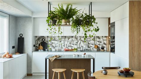 How Hanging Plants In Your Kitchen Can Help Promote Good Feng Shui