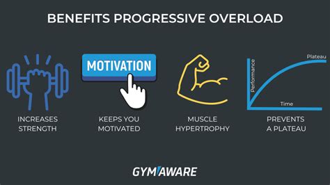 How Important Is Progressive Overload Reddit