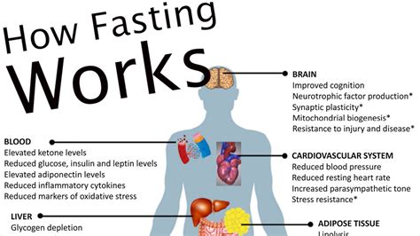 how intermittent fasting works