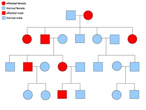 how is add inherited