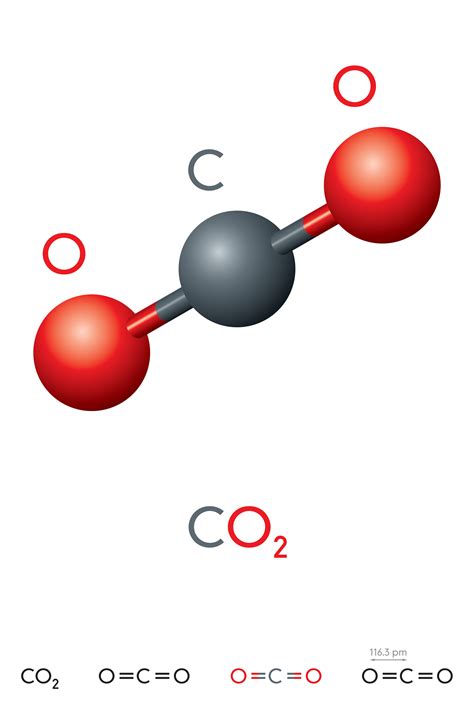 how is carbon dioxide