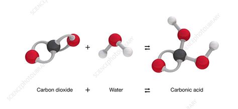 how is carbonic acid created