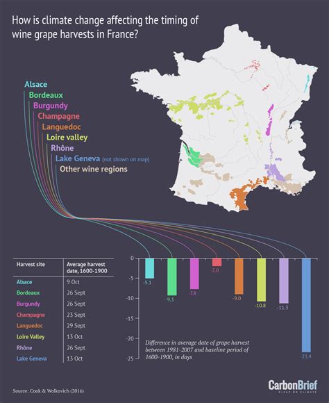 How Is Climate Change Affecting Wine