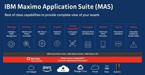 how is ibm maximo application suite licensed