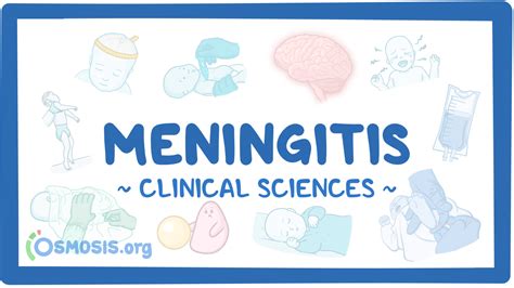 how is meningitis studied