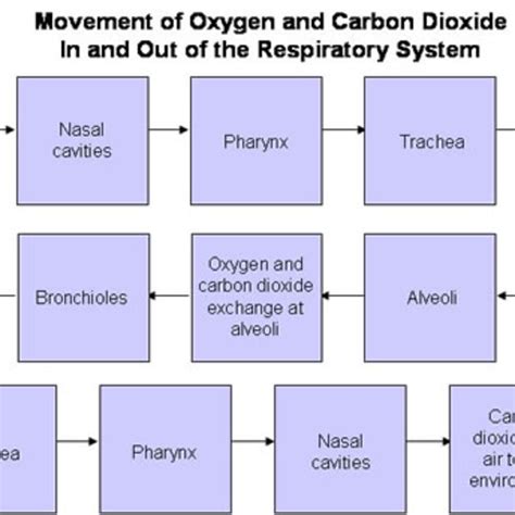 How Is Oxygen Removed From The Air