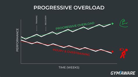 How Is The Progressive Overload Principle Applied To A Cardiorespiratory Exercise Program