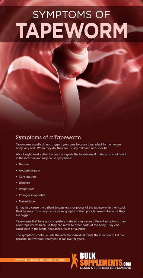How Know If Have Tapeworm