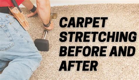 How Long Before Replace Carpet